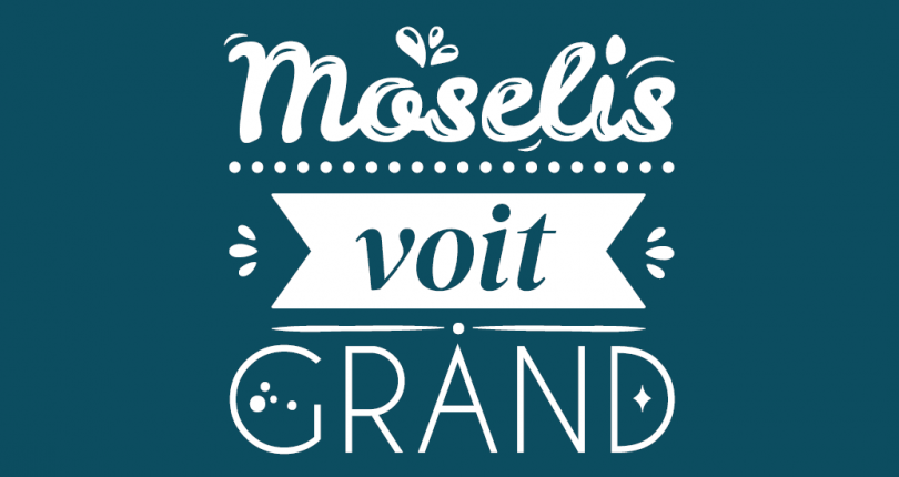 Moselis vous souhaite une grande année 2022 !